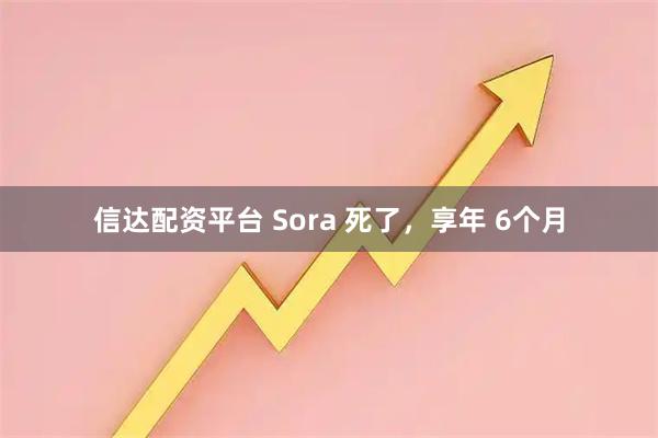 信达配资平台 Sora 死了，享年 6个月